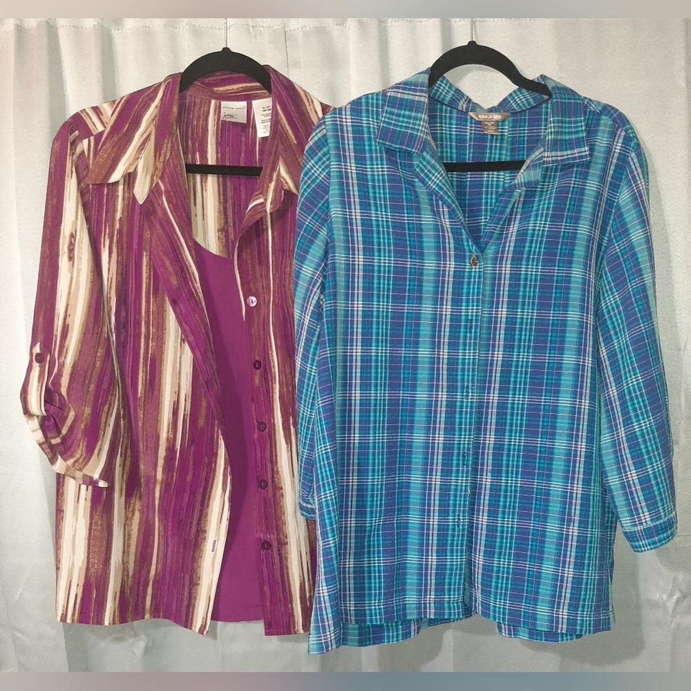 Set Of 2 Women's Plus Size Dressy Blouses